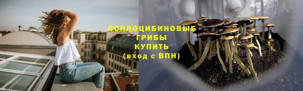 apvp Магадан