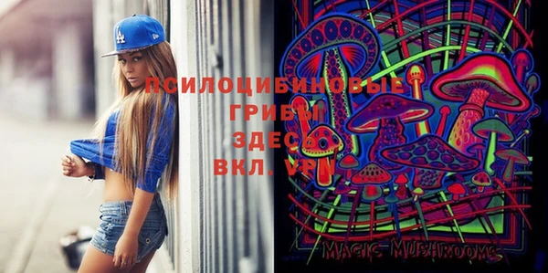 МДПВ Майский