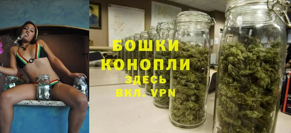 apvp Магадан