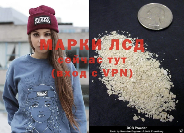 дурь Заводоуковск