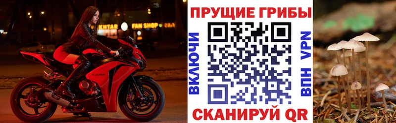где купить наркоту  Петухово  Галлюциногенные грибы мухоморы 